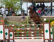 DEL CISTIA DEAUVILLE CampITA2013- S5 0590 : Campionati Italiani 2013, Cattolica, DEAUVILLE B.B., DEL CISTIA MARCO, Horse Riviera Resort, foto di Stefano Secchi ©